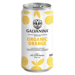 Galvanina Bio Orangenlimonade 330 ml – Italienische Bio Orange Soda aus ...